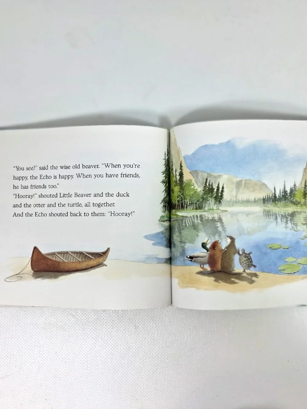 Little Beaver and The Echo by Amy MacDonald, Children's Book, 90s Y2K